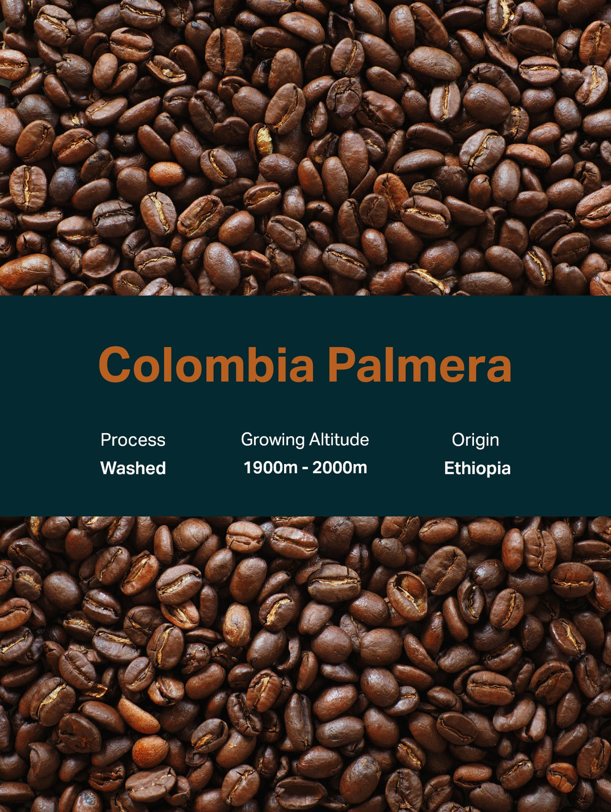 Loma | Columbia