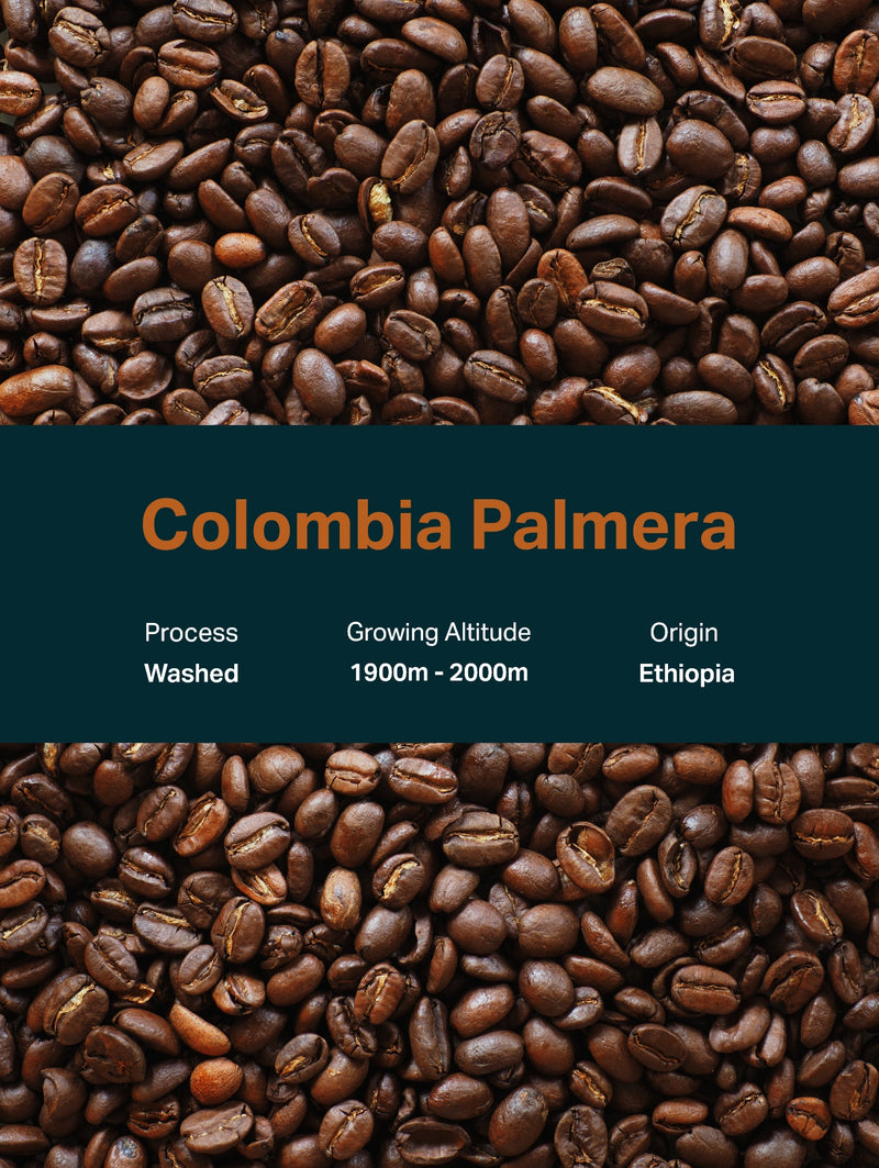 Loma | Columbia