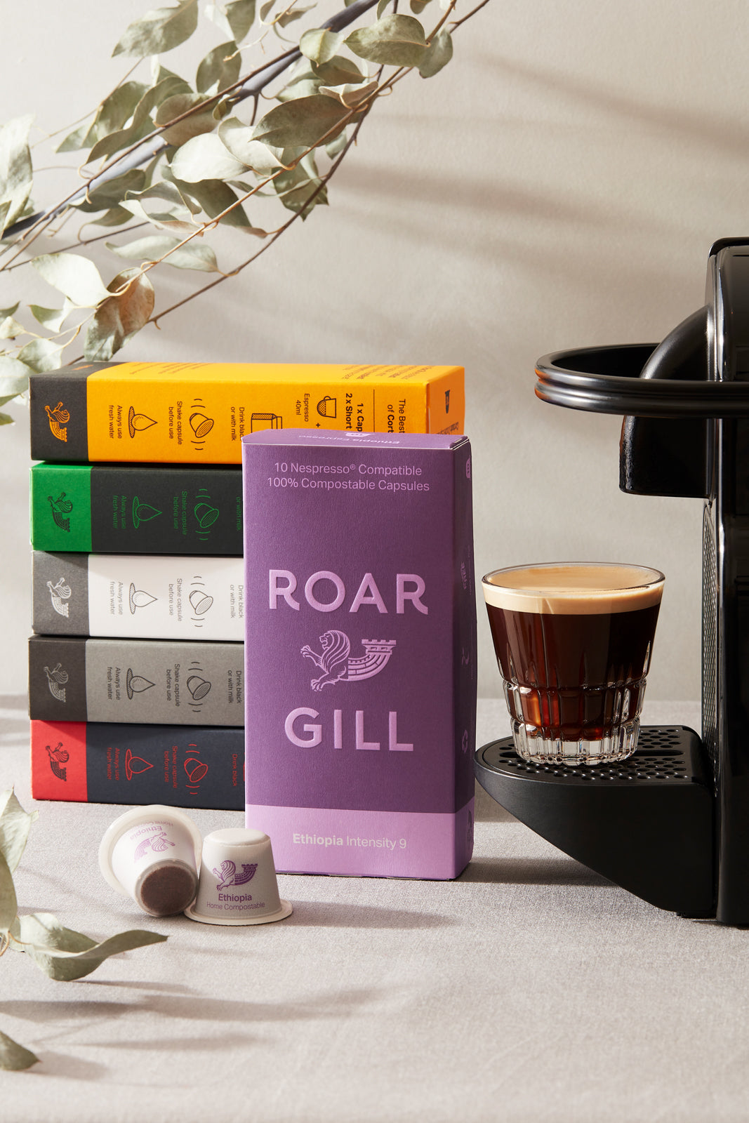 Roar Gill Home Compostable Pod Discovery Pack. Includes All Six Coffee Styles.